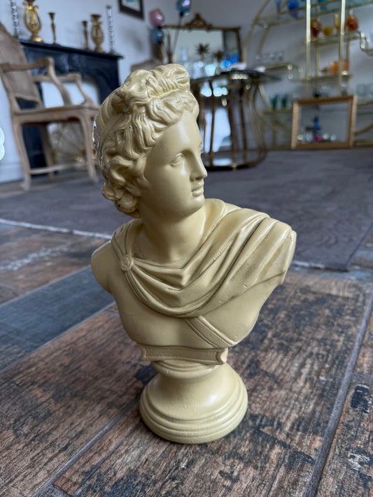 Apollo Bust
