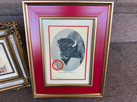 Framed Buffalo Card