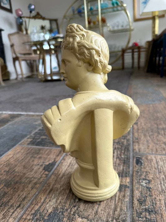 Apollo Bust