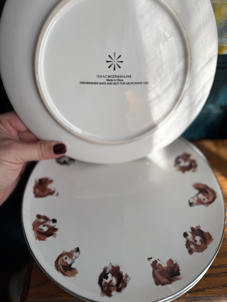 Set of 4 Isaac Mizrahi Live “Harry Brown” plates