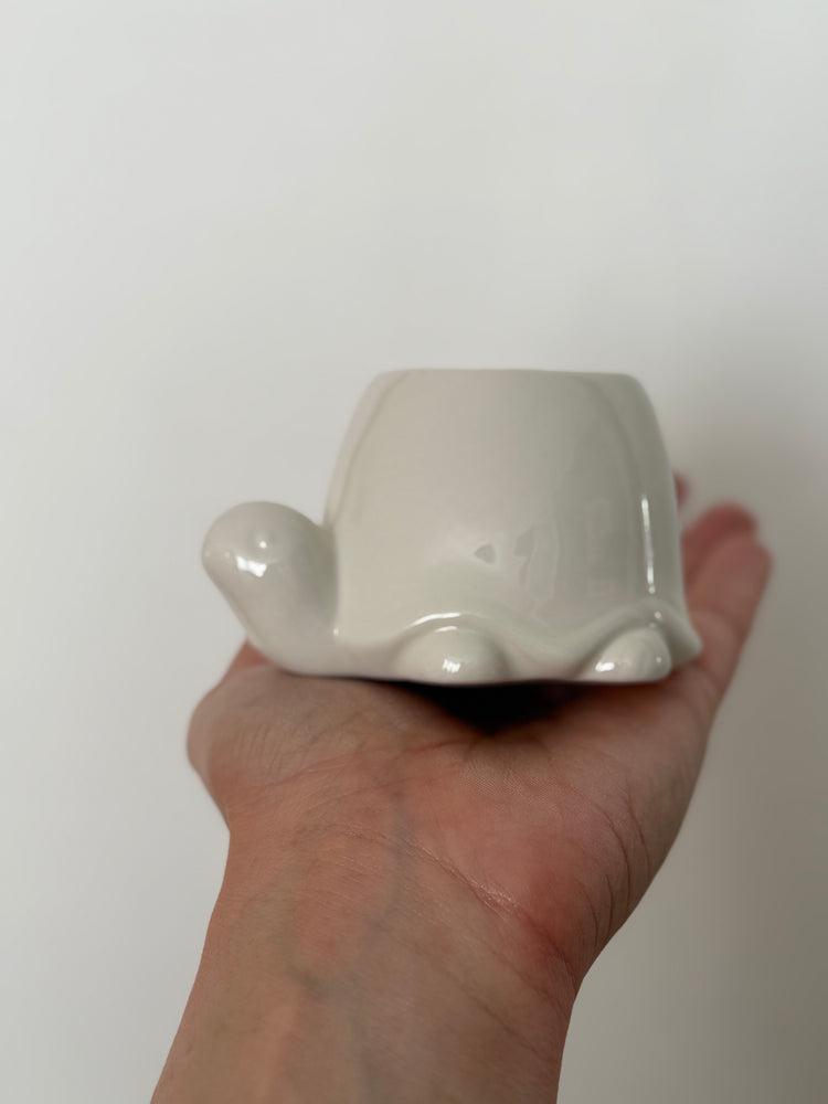 Turtle Planter