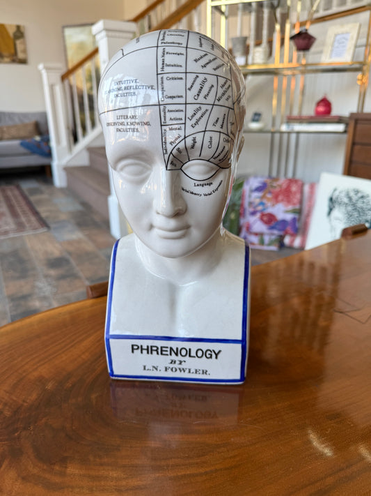 Phrenology Head Model