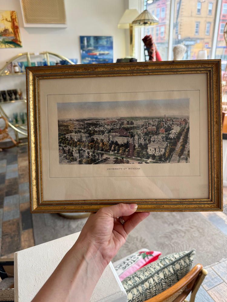 University of Michigan Framed Print