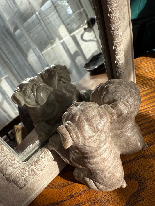 Bulldog Mirror