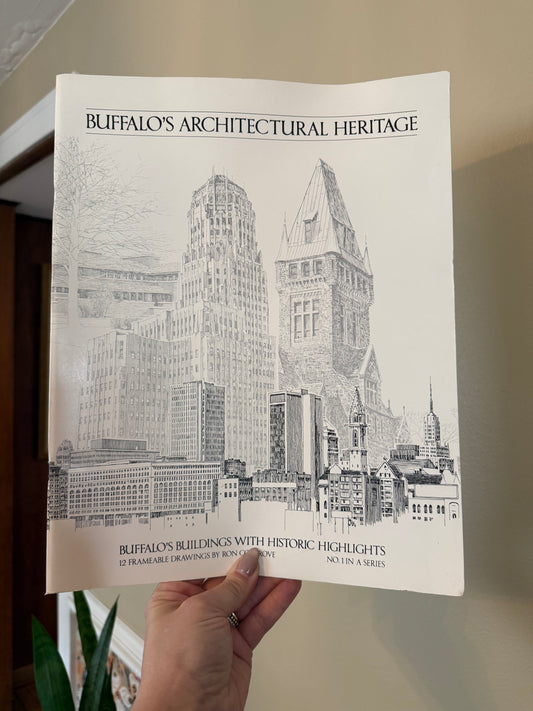 Buffalo’s Architectural Heritage Book