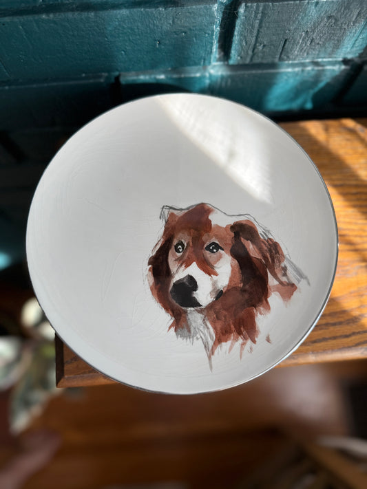 Set of 4 Isaac Mizrahi Live “Harry Brown” plates