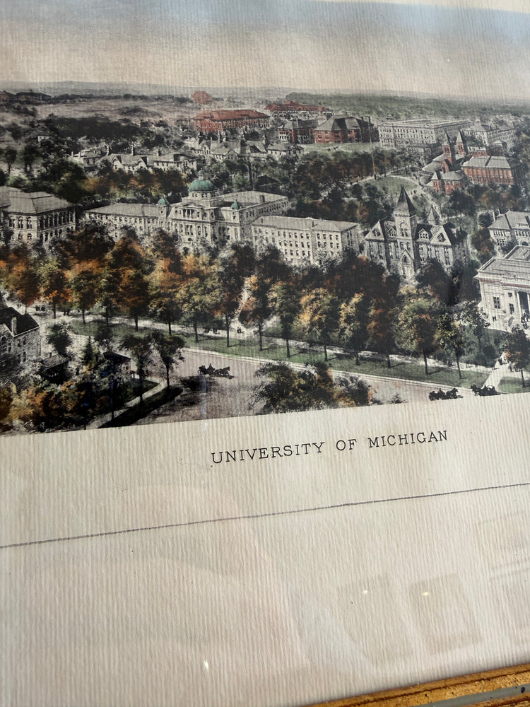 University of Michigan Framed Print