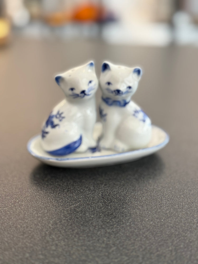 Cat salt & pepper