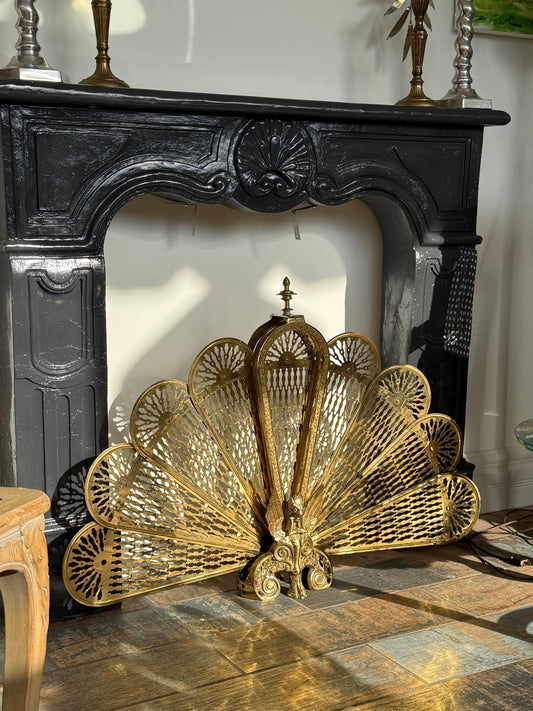 Gargoyle Fireplace Screen