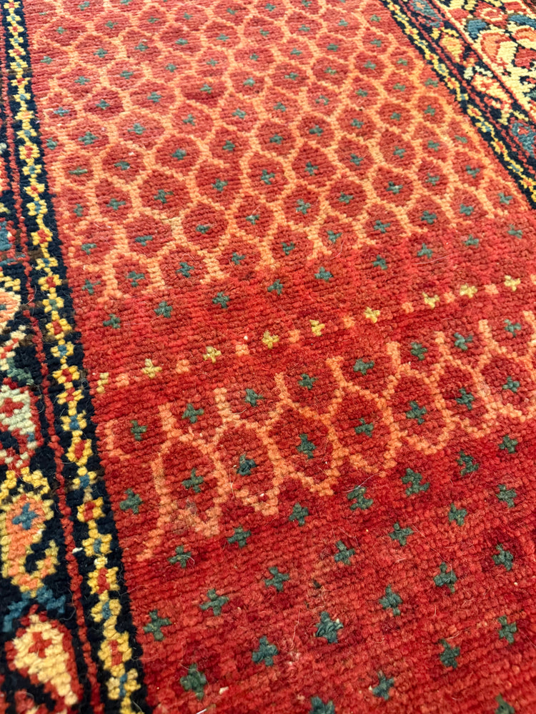 The “Phoenix” Rug