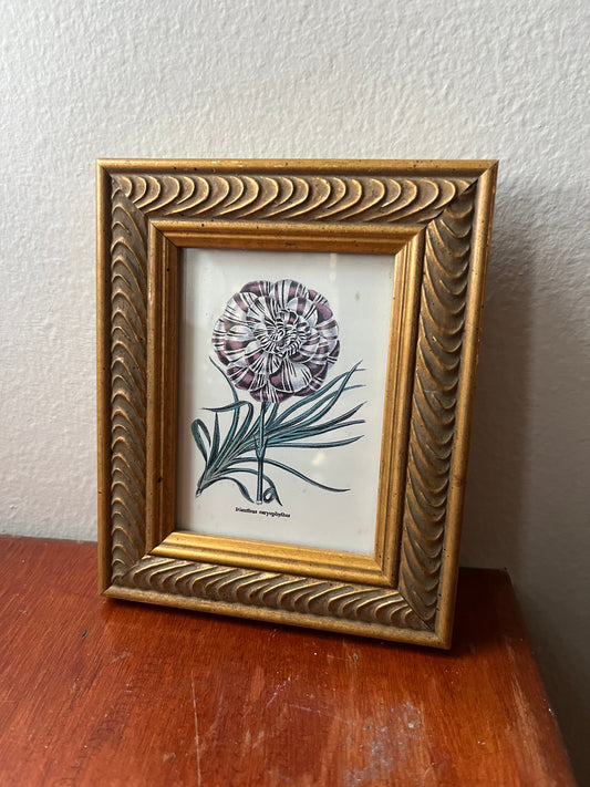 Sweet Framed Flower