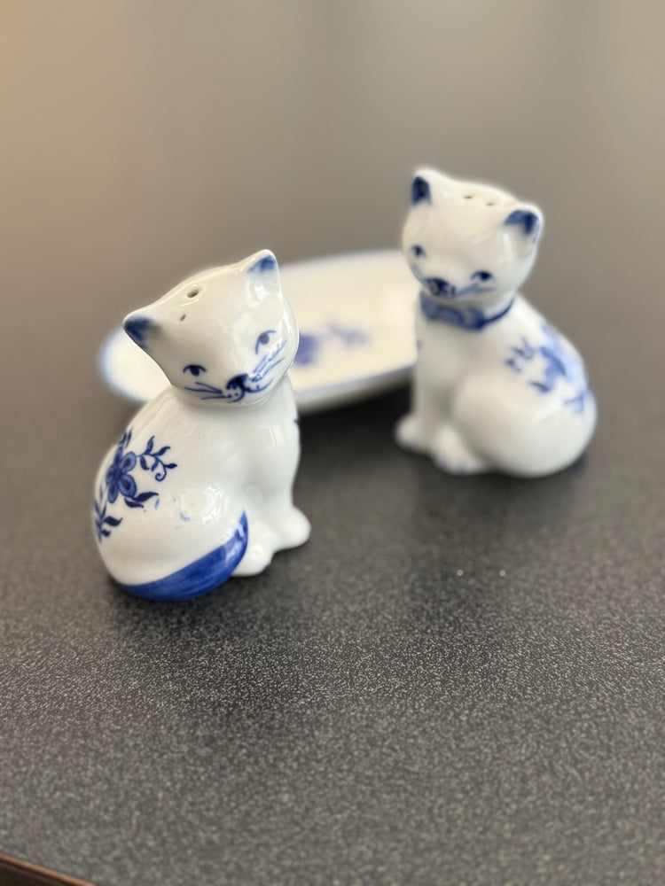Cat salt & pepper