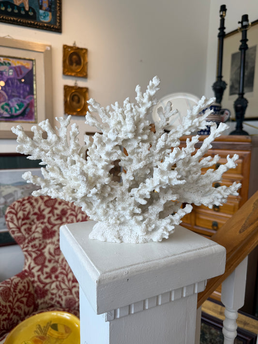 Decorative Coral