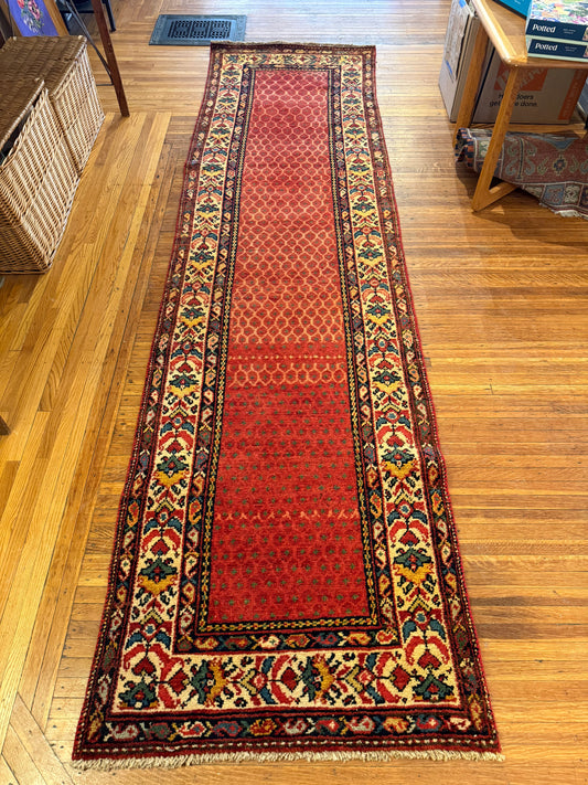 The “Phoenix” Rug