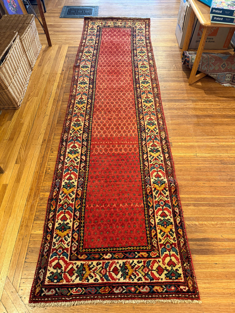 The “Phoenix” Rug