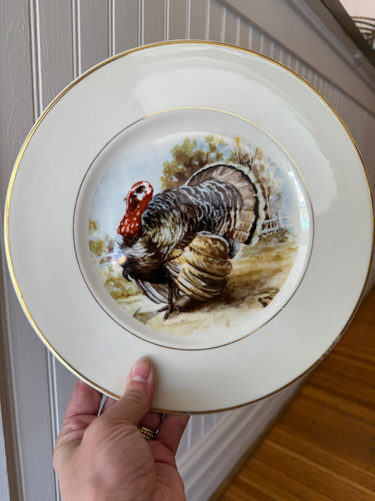 Set of 4 Aberdeen China Turkey Plates