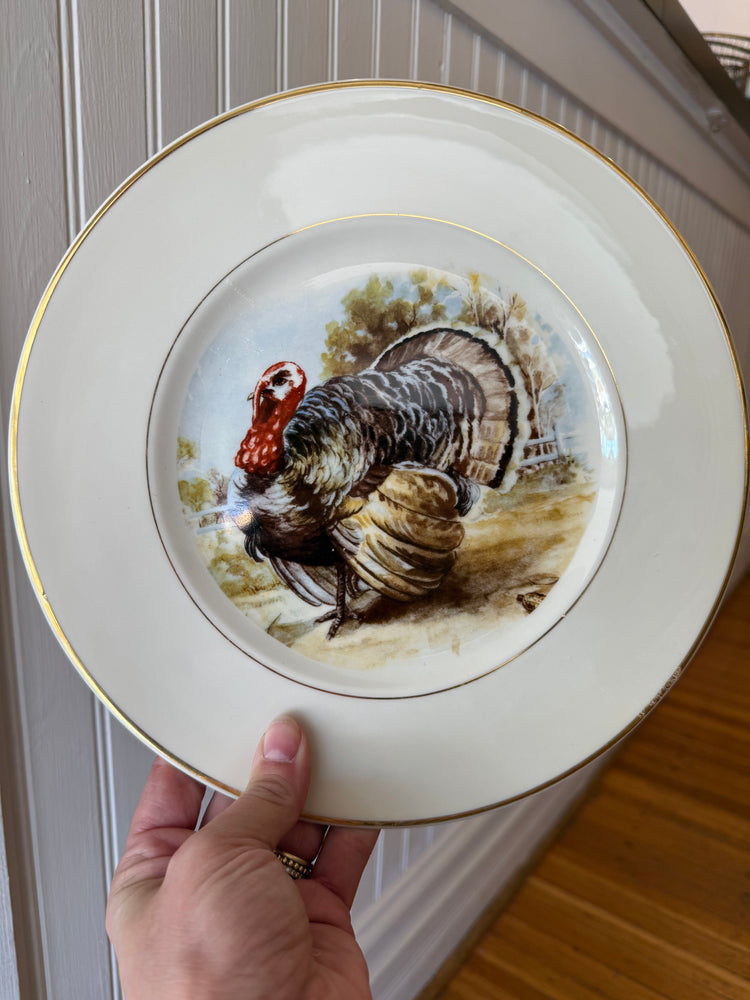 Set of 4 Aberdeen China Turkey Plates