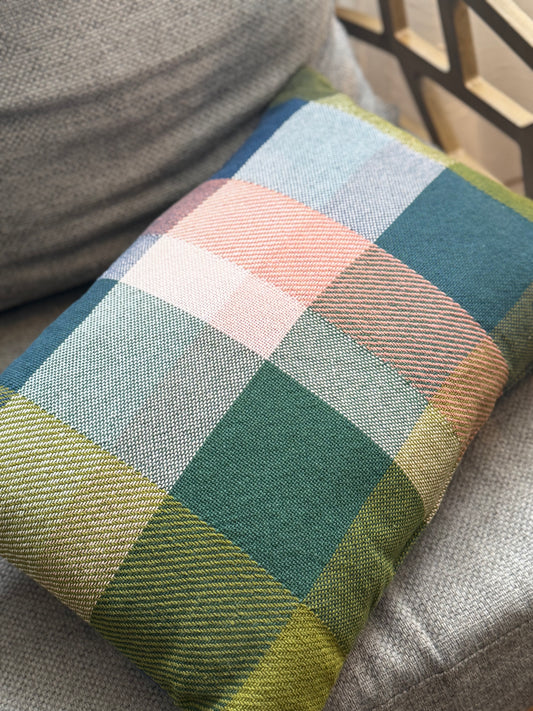 Pair of Plaid Throw Pillows