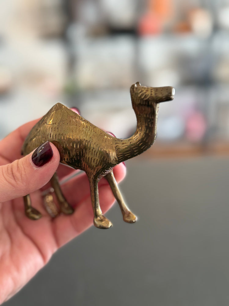 Brass Camel