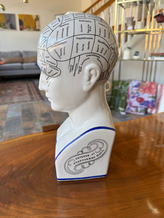 Phrenology Head Model