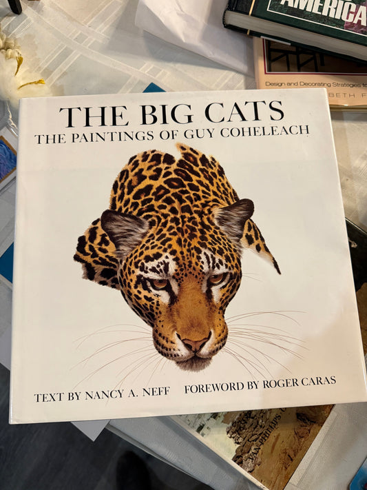 The Big Cats Book