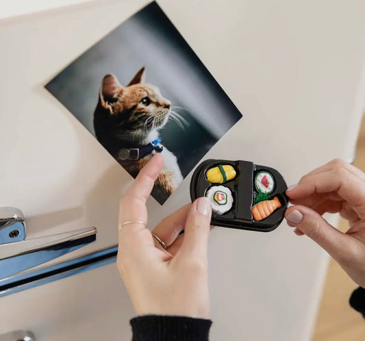 Sushi Magnets