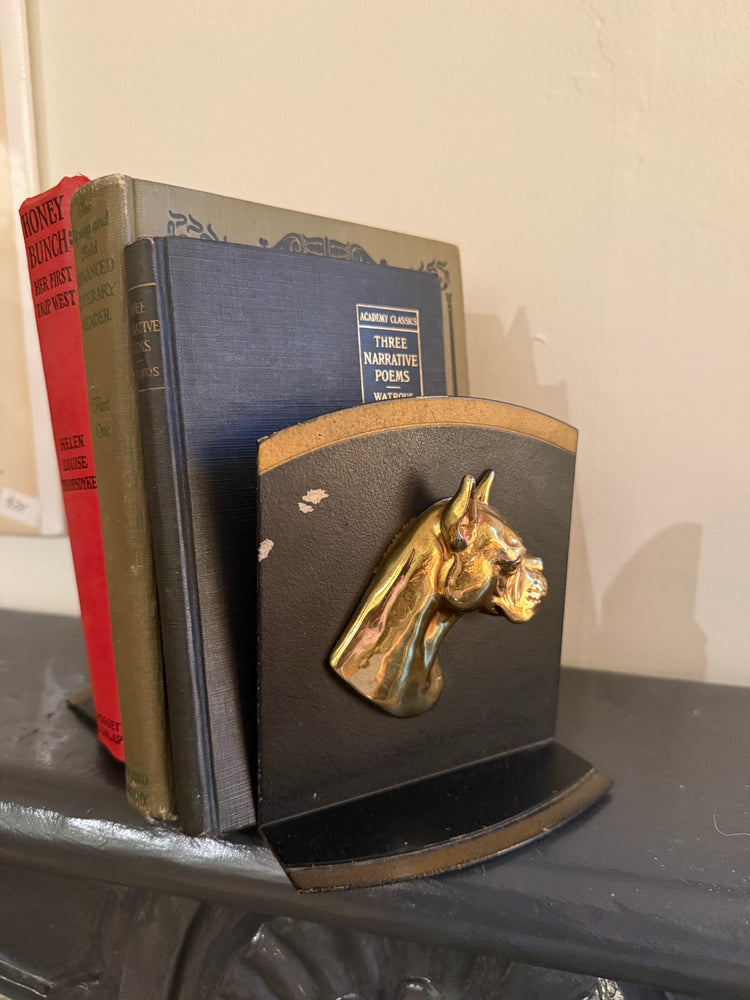 Pair of Boxer Bookends