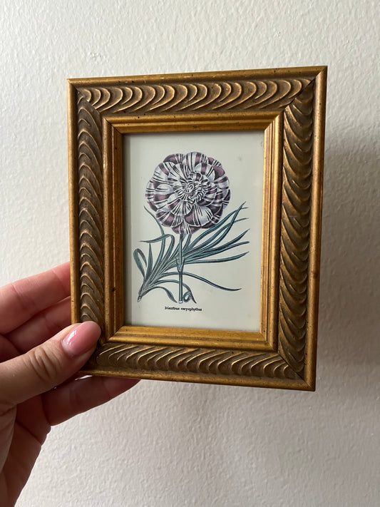 Sweet Framed Flower